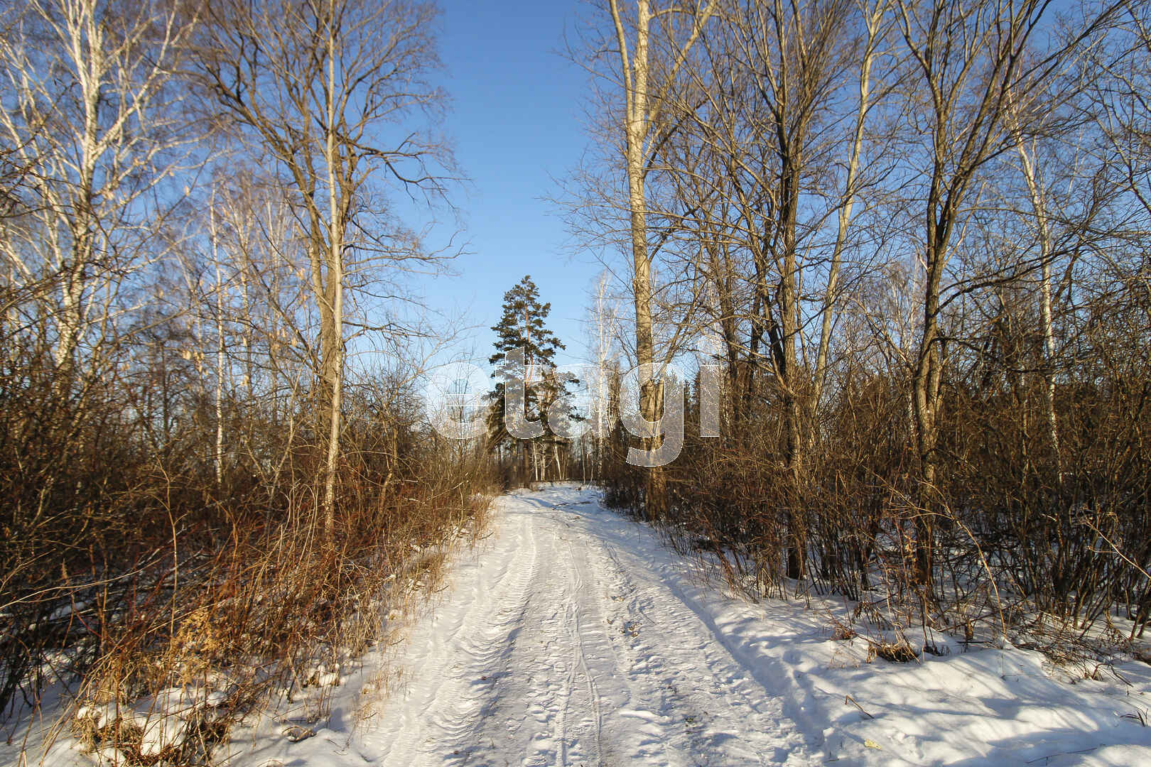 Село горьковка фото