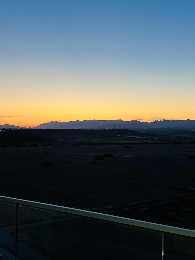 Фото Abelia, 27