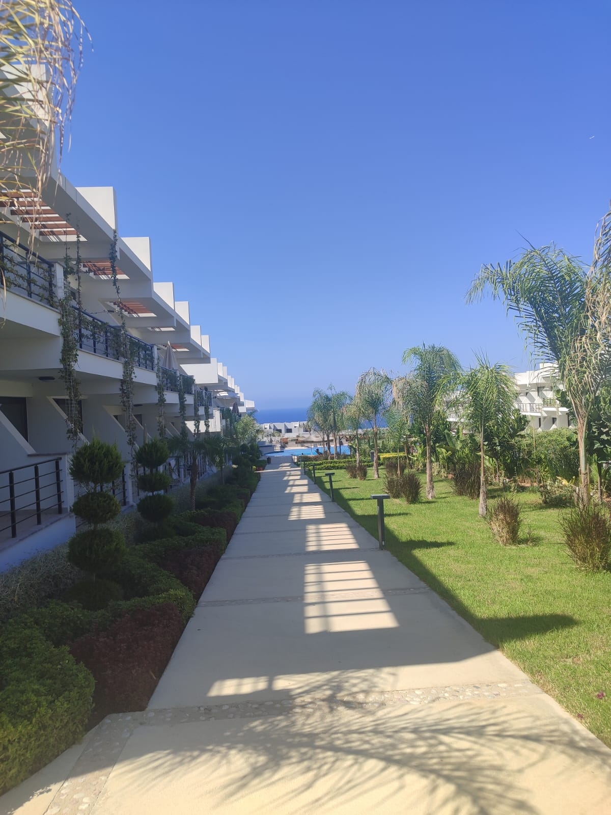 Фото Pearl Island, 9