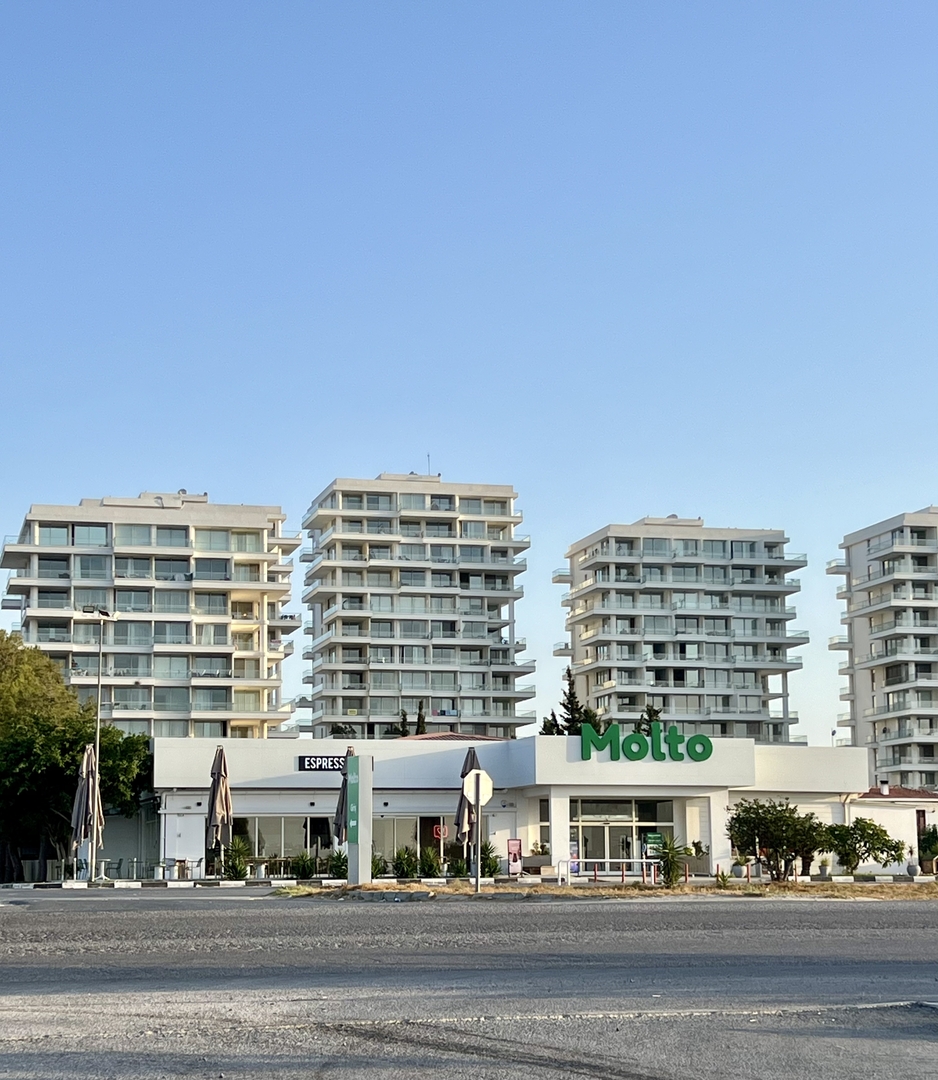 Фото Abelia, 33