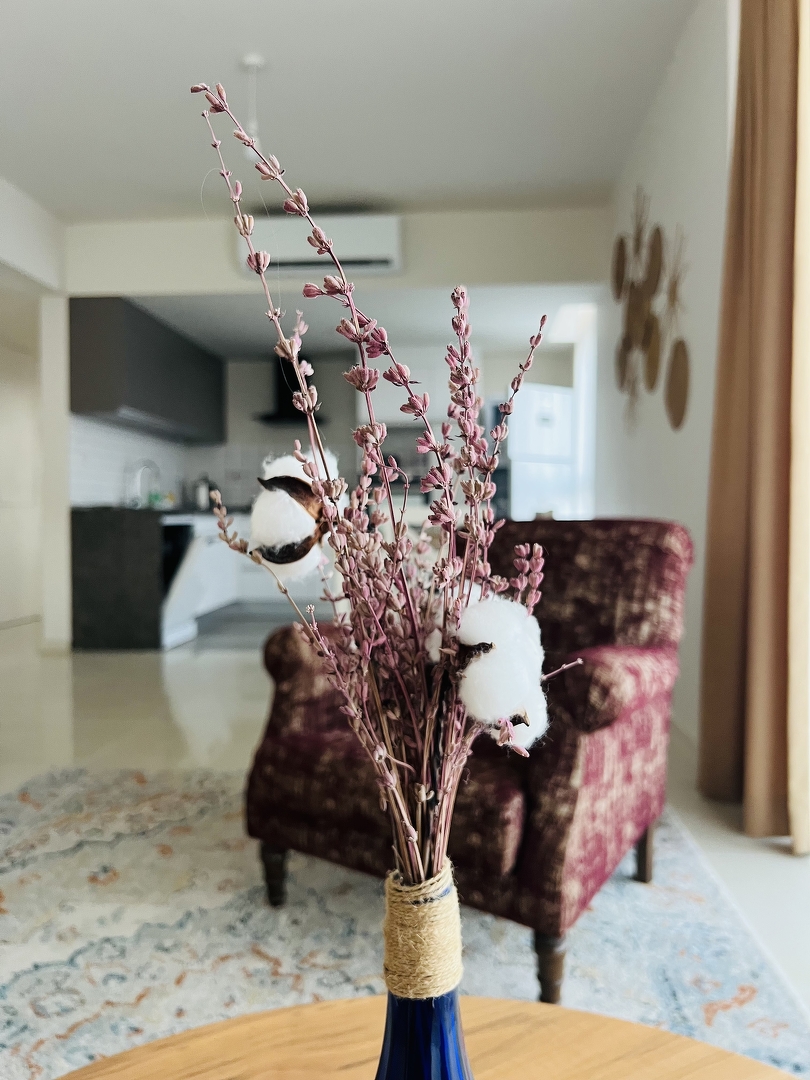 Фото Abelia, 28