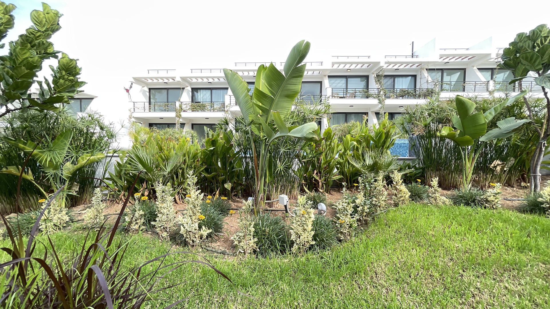 Фото Pearl Island, 7
