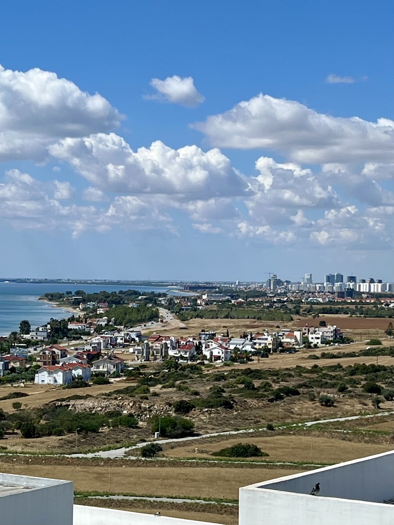 Фото Abelia, 13