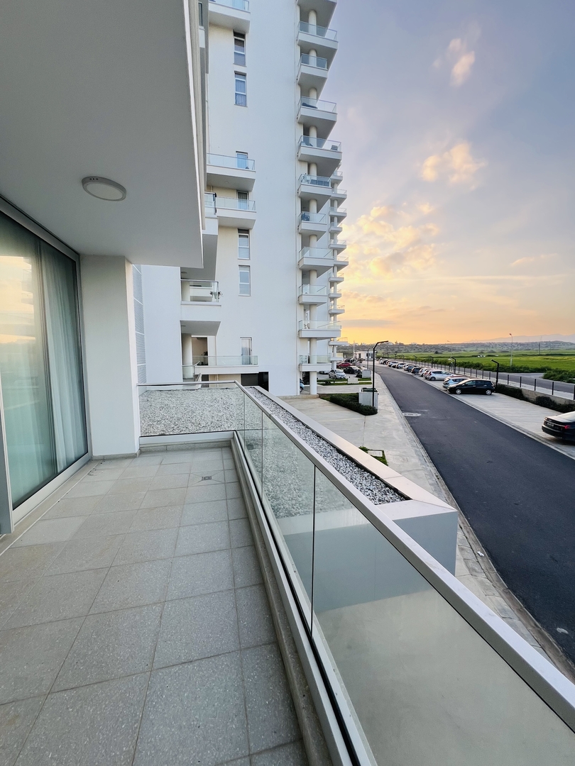 Фото Abelia, 20