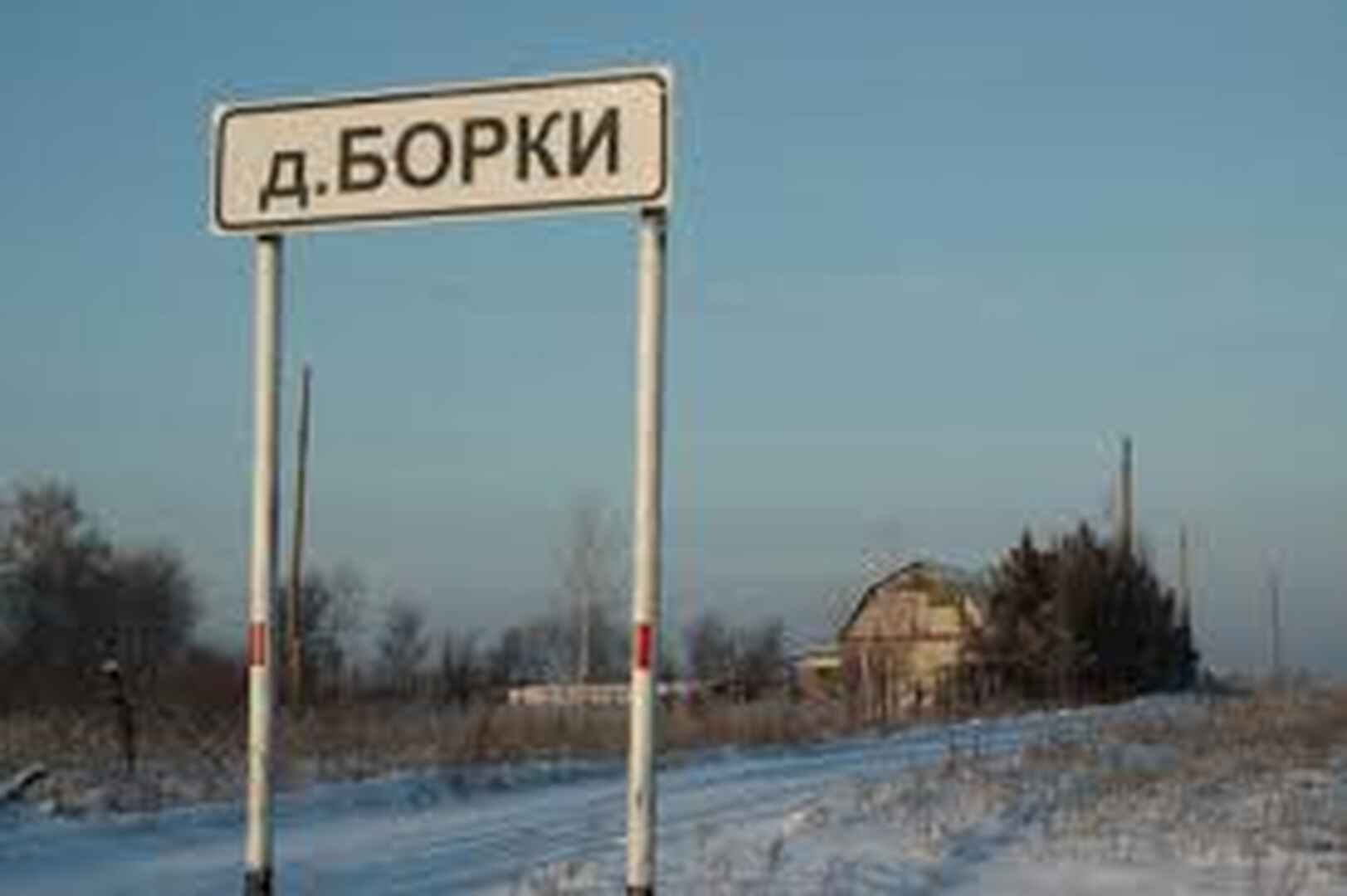 Борки тюмень карта