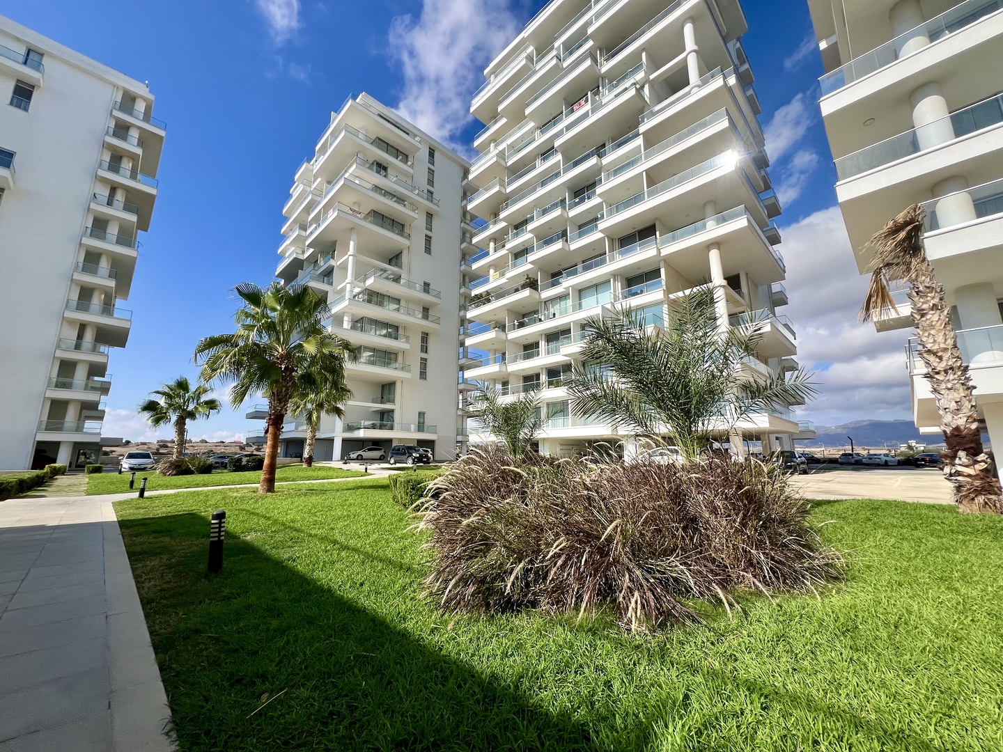 Фото Abelia, 34
