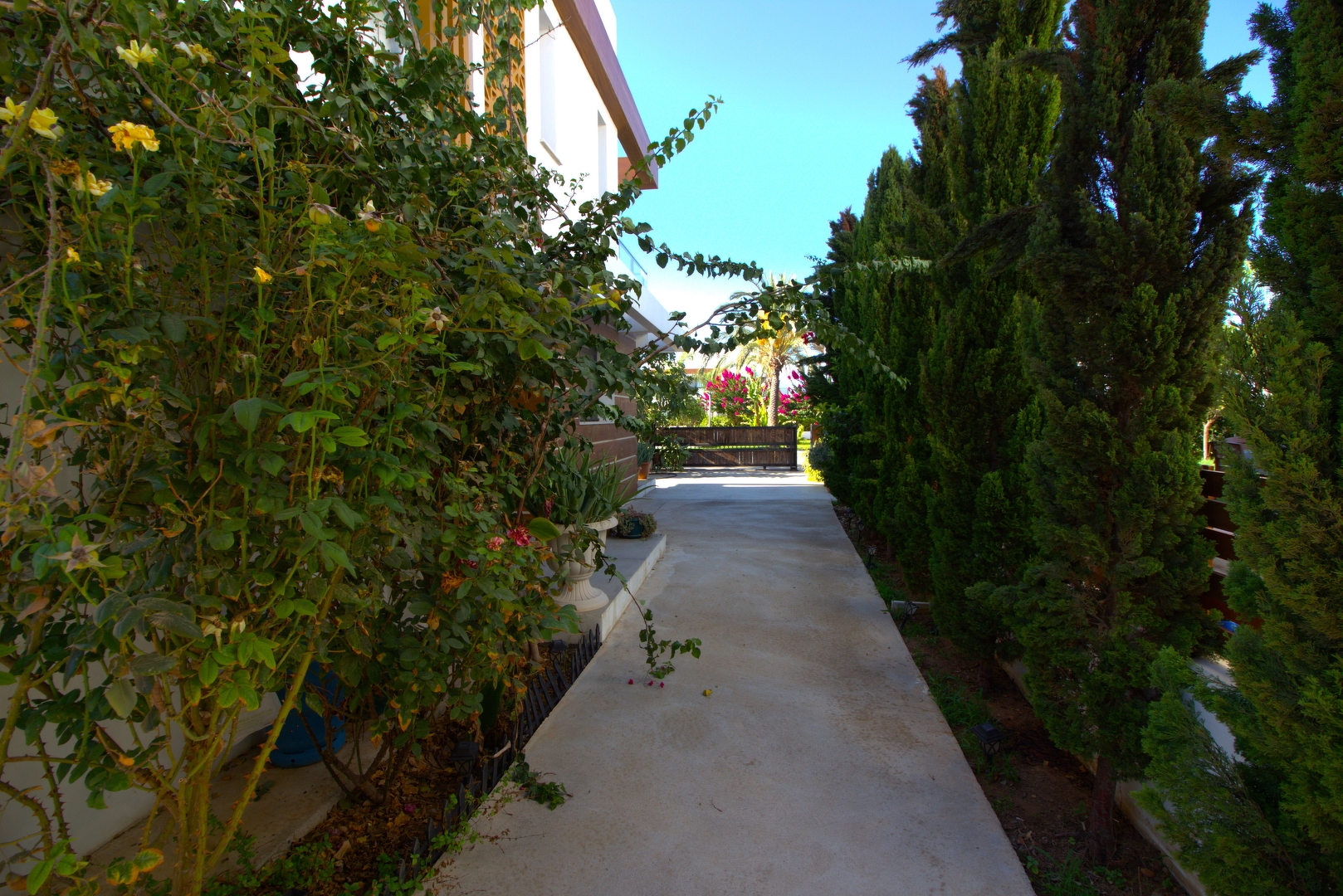 Фото Yeni Bogazici, 47