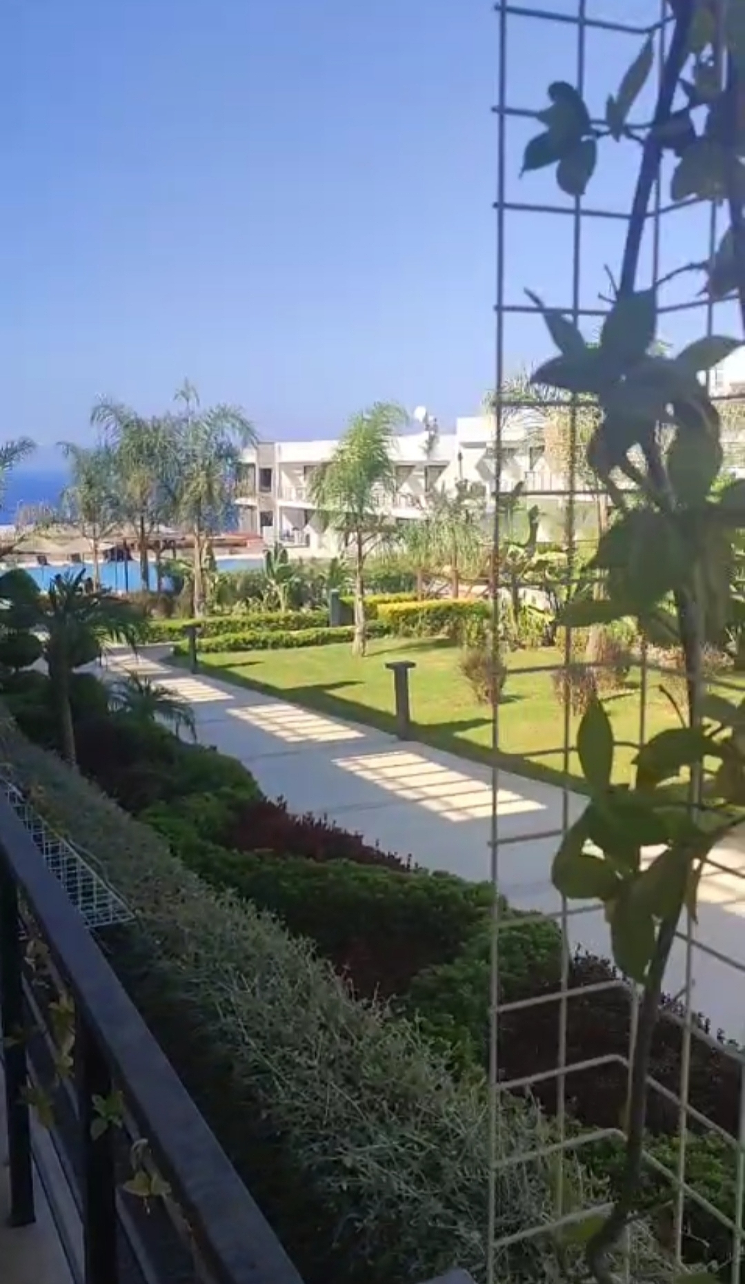 Фото Pearl Island, 10