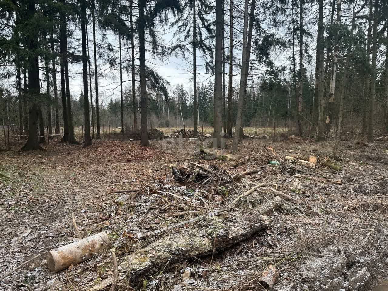 Покупка земельного участка, Минское шоссе, 15 сот., 774339, Москва - покупка