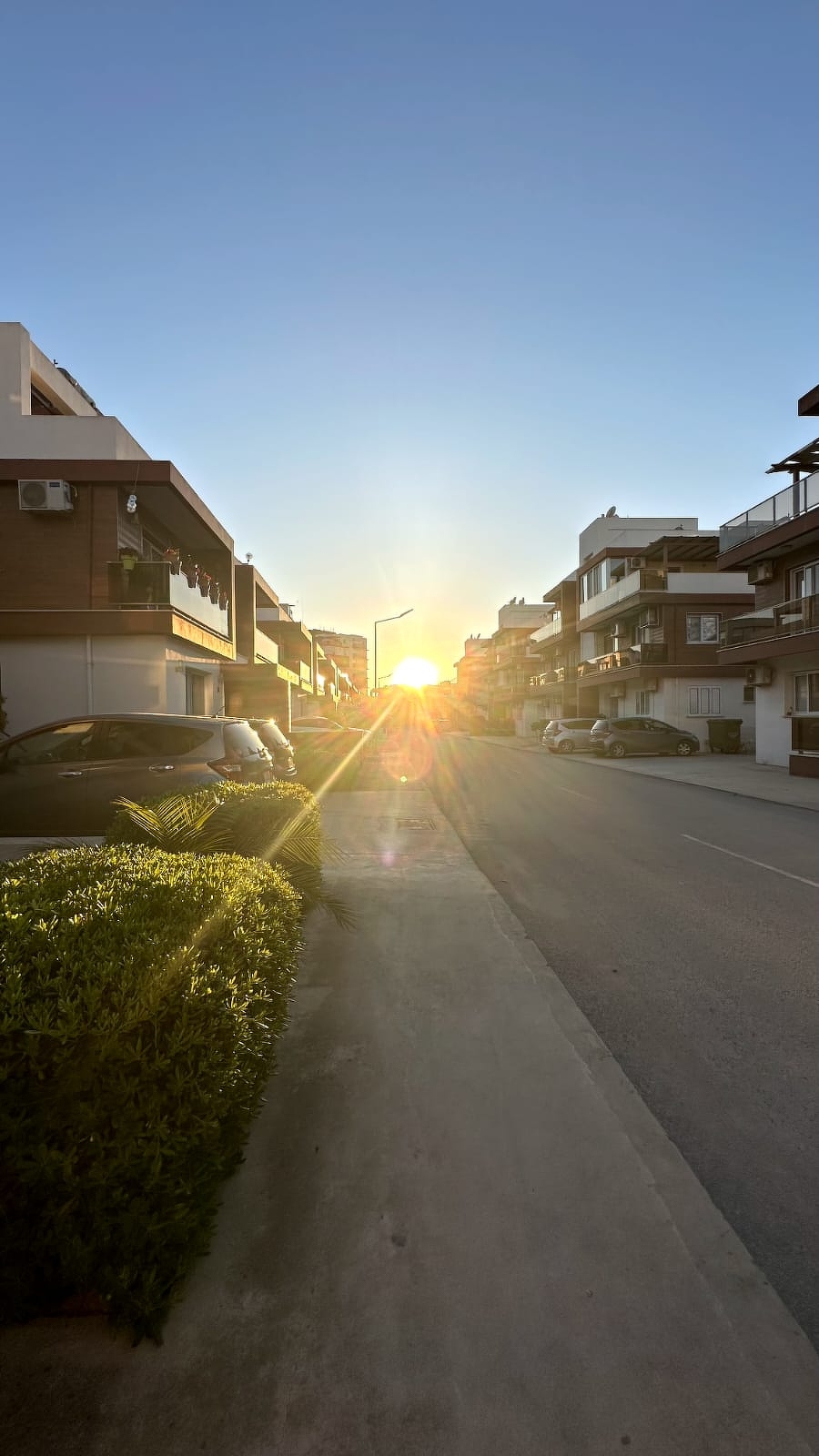 Фото Royal Sun, 2
