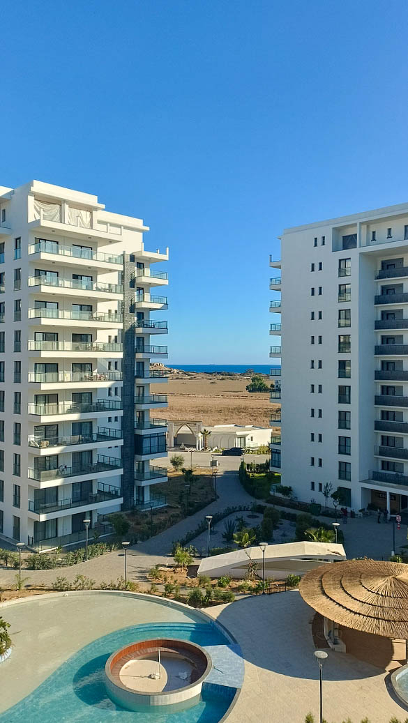 Фото Caesar Blue, 2