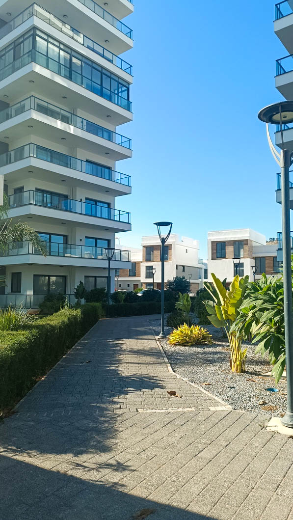 Фото Caesar Blue, 4